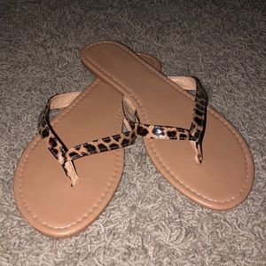 Charlotte Russe Cheetah Print Flipflops